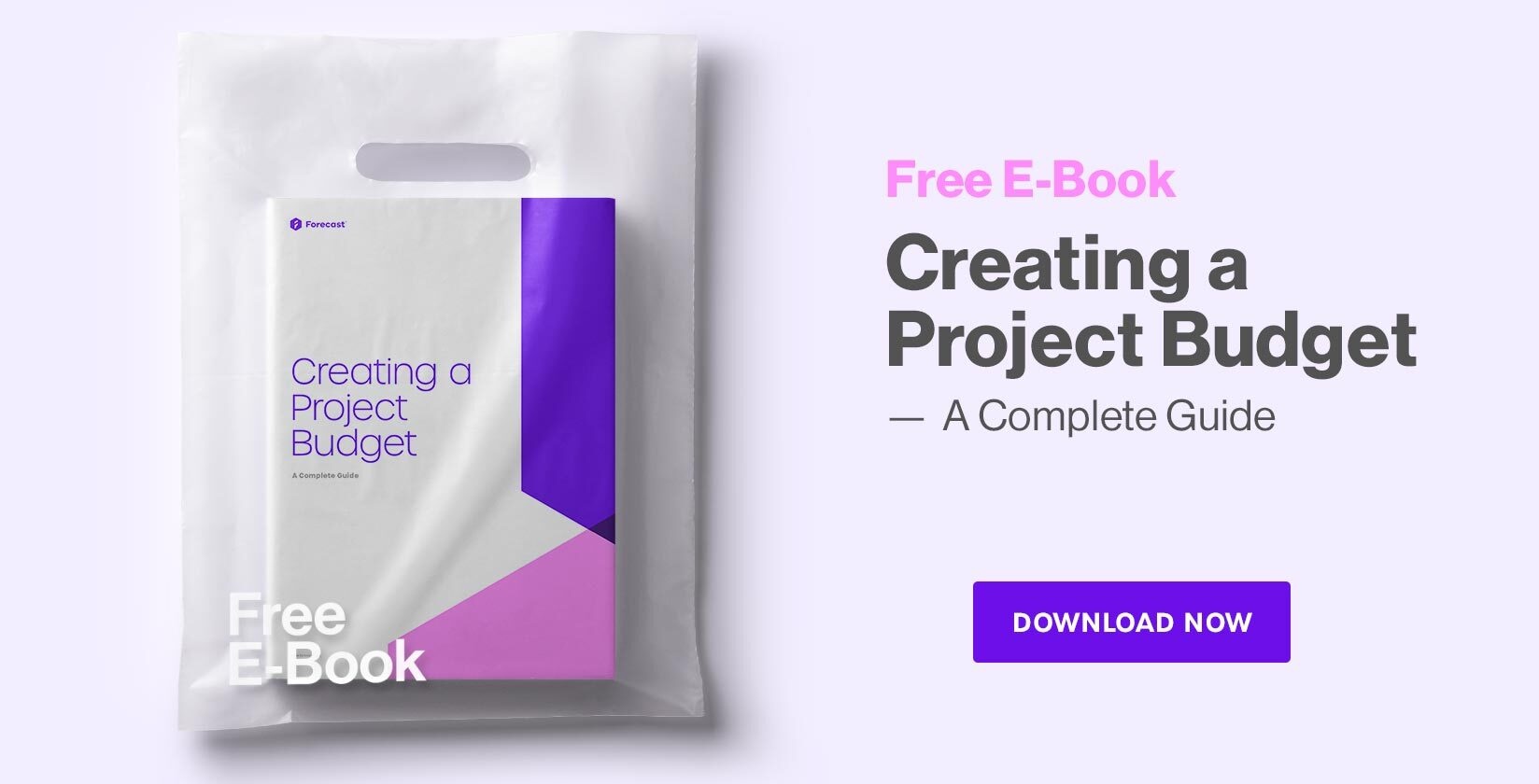 FREE E-BOOK: CREATING A PROJECT BUDGET – A COMPLETE GUIDE FOR 2020